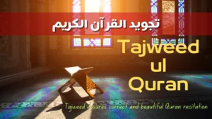 learn tajweed online